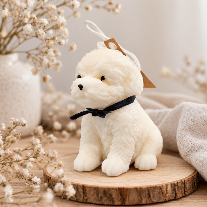 Petit chien