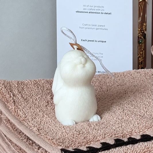 Deuxième photo du lapin, plus nette